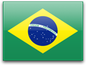 Brazil flag